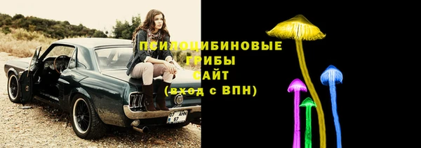 ешки Алексин