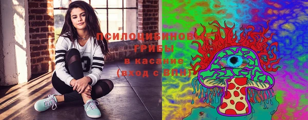 ешки Алексин