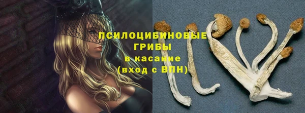 jwh Алзамай
