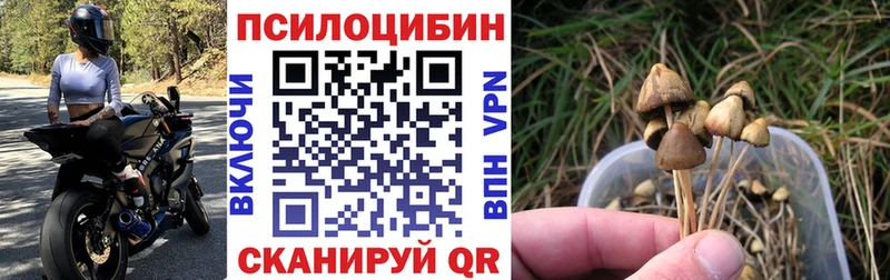 закладки  Игарка  Галлюциногенные грибы GOLDEN TEACHER 